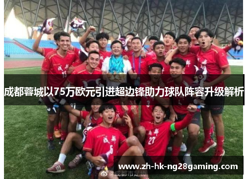 成都蓉城以75万欧元引进超边锋助力球队阵容升级解析